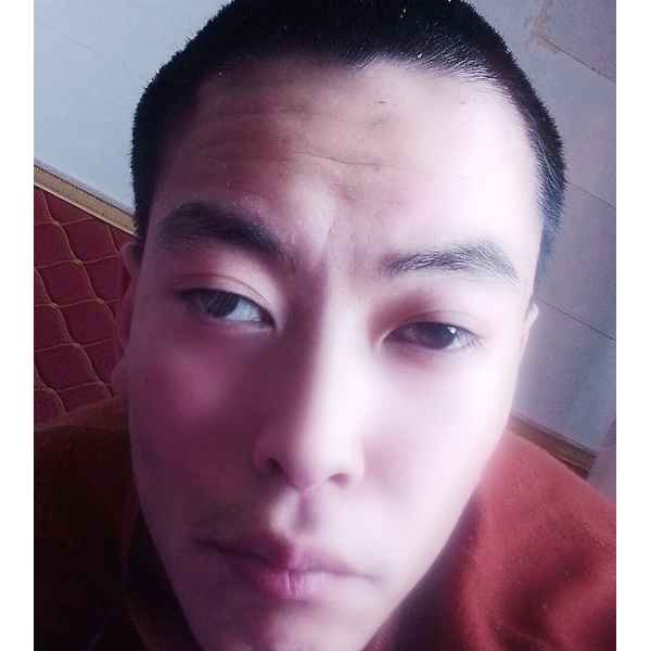 银川征婚相亲网