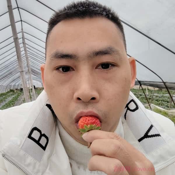 银川征婚相亲网